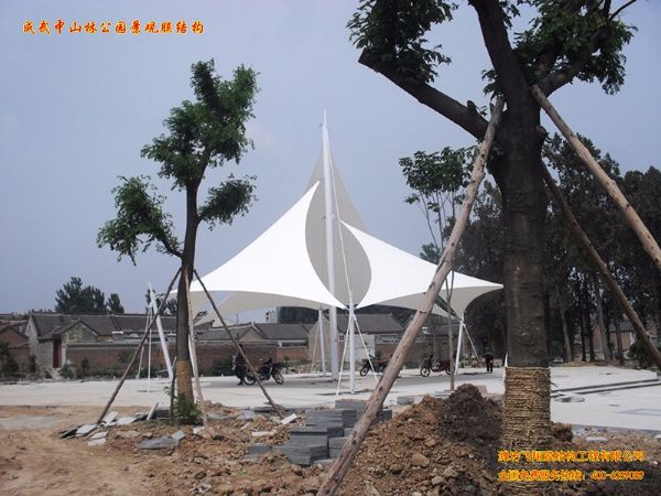 成武中山林公園景觀膜結構.jpg