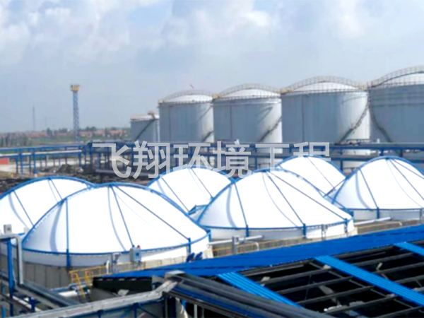 隨動式膜結(jié)構(gòu)污水池加蓋